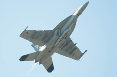 ＃300　第115戦闘攻撃飛行隊 (VFA-115）Eagles