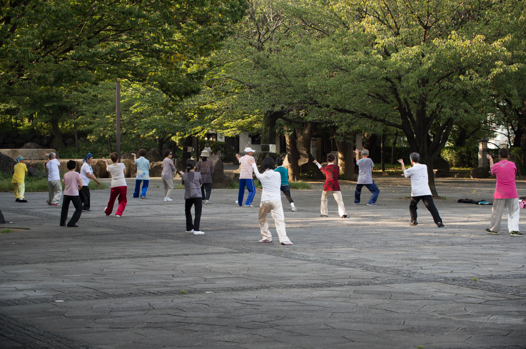 早起きも悪くないですね