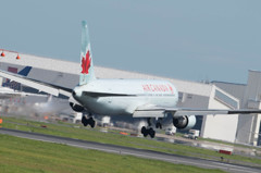 お父さんの夏休み4