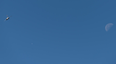 T-4と787と月