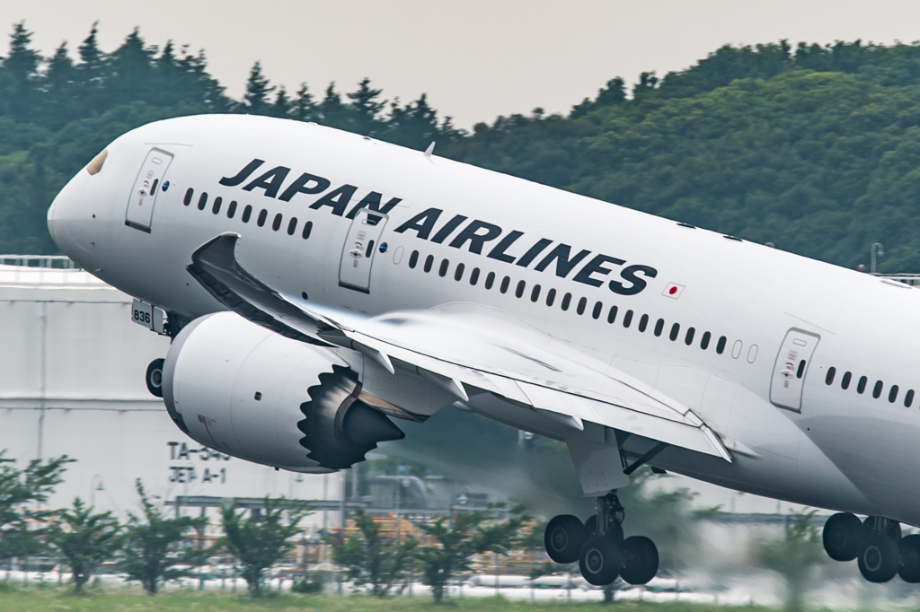 JAL B787