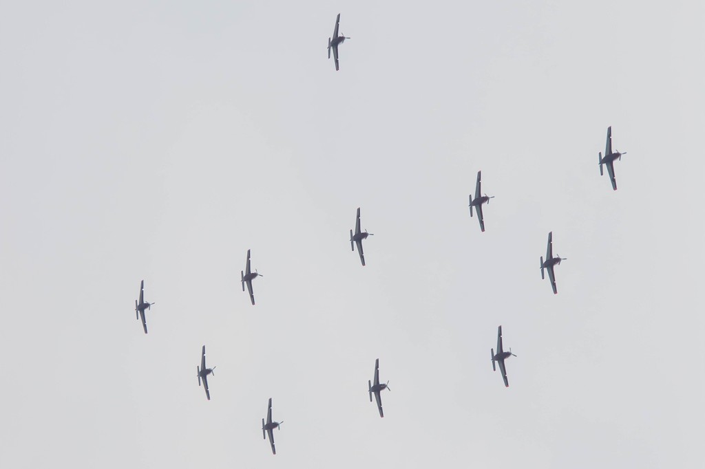 小学生カメラ女子　「お船」