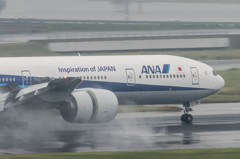 Typhoon19・・・18