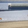 城南島ものがたり・・・7