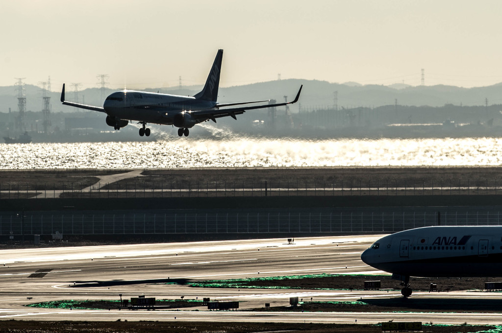 朝日の中から・・・