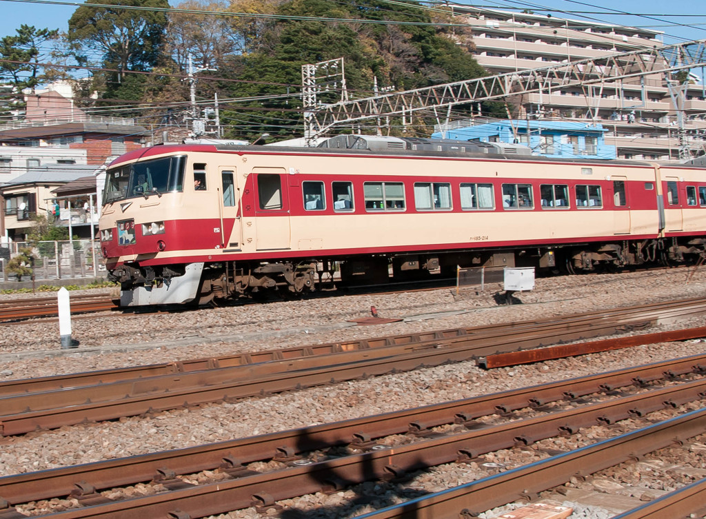 国鉄特急色　185系