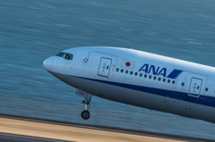 へそ曲がり・・・？