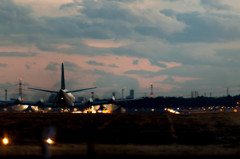 どっちが好き？