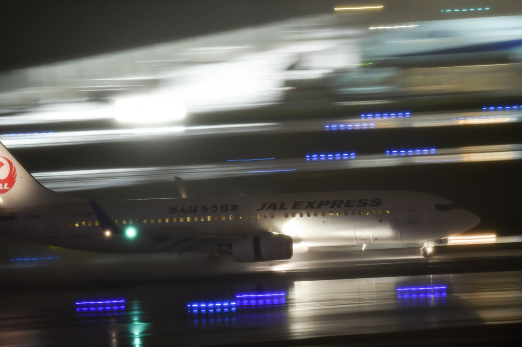 Typhoon19・・・47