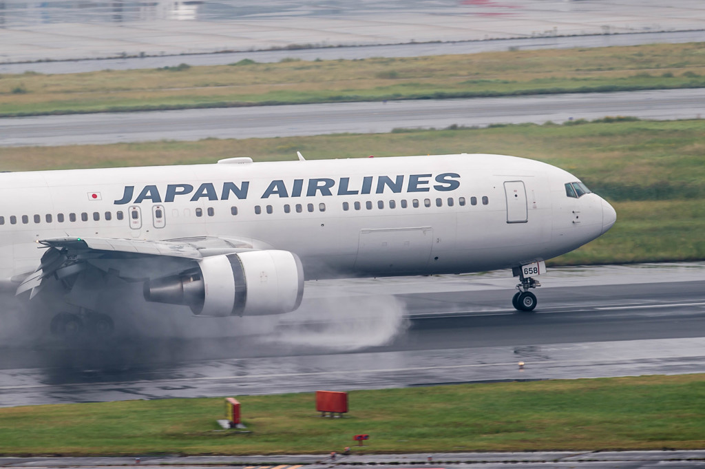 Typhoon19・・・29