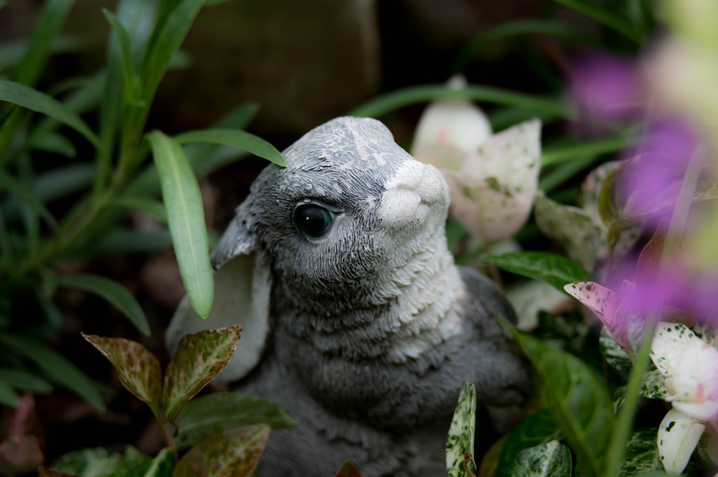 接写リングとも言うのかな？
