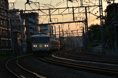 修学旅行かな？