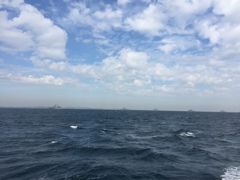 リアル艦隊コレクション