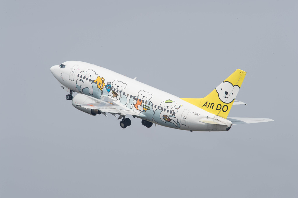 ベアドゥ　B737-500