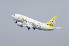 ベアドゥ　B737-500