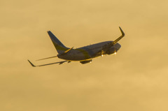 光る機体・・・1