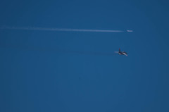 ランデブー・・・