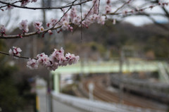 オールドレンズ4500円　1