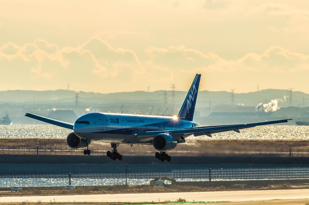 黄金色の風景・・・