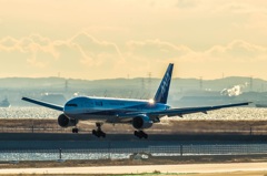 黄金色の風景・・・