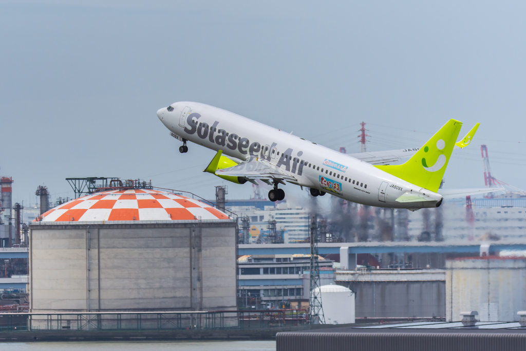 D7200とシグマ150-600contemporary・・・27