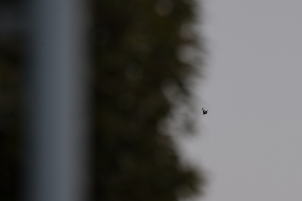 横田狂の詩・・・101