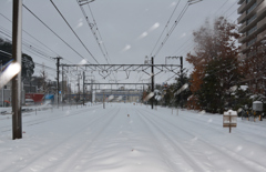 JR横須賀線　運転見合わせ