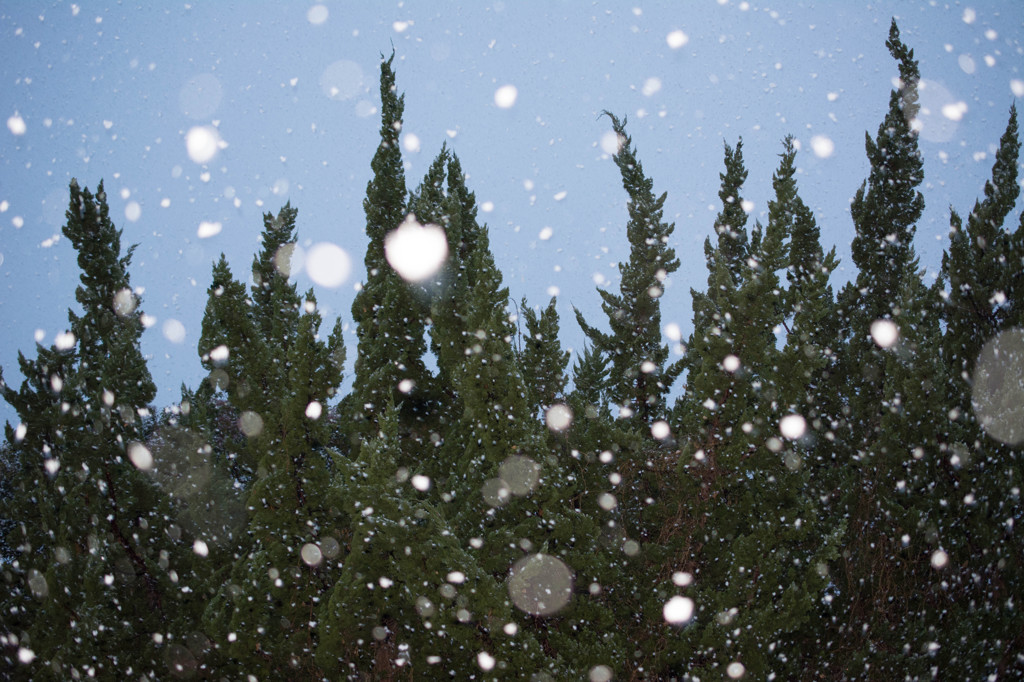 小雪