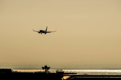 白鳥捜査・・・2