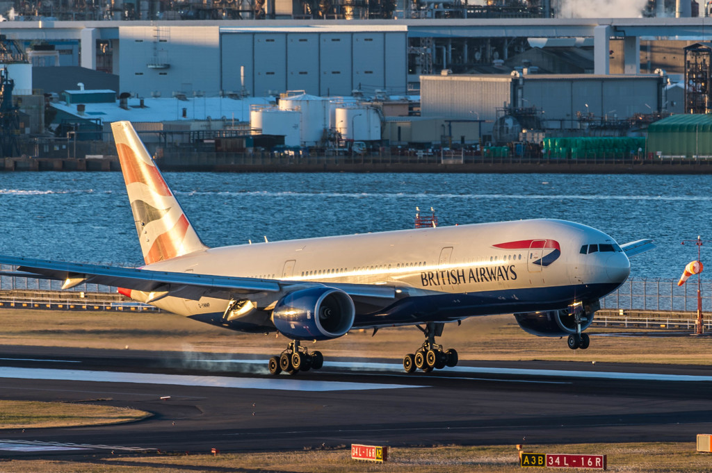 ハミングバードに逢いたくて・・・11