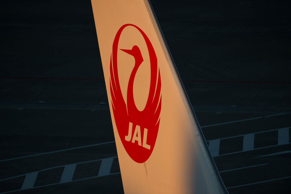 ハミングバードに逢いたくて・・・8