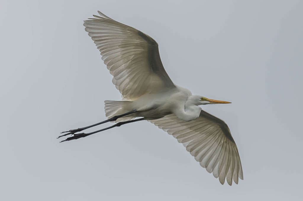 野鳥公園にて　22