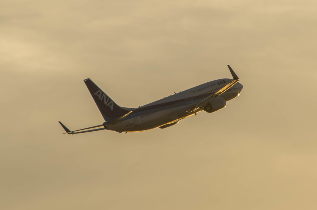 ウイングレット・・・