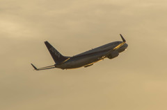 ウイングレット・・・