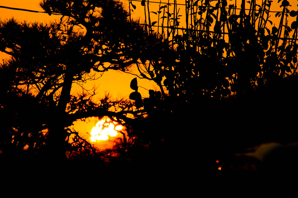 信号まちの車内から