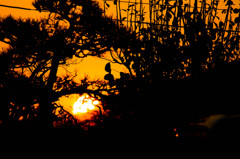 信号まちの車内から