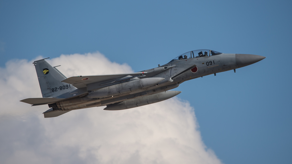 假想敌部队的F-15鷹式戰鬥機百里基地巡回教導・・・48