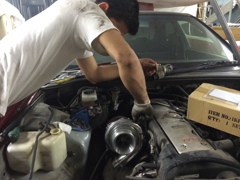 巨大カタツムリ