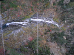 P1120618