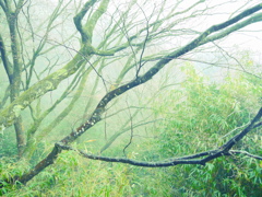 鞍馬３