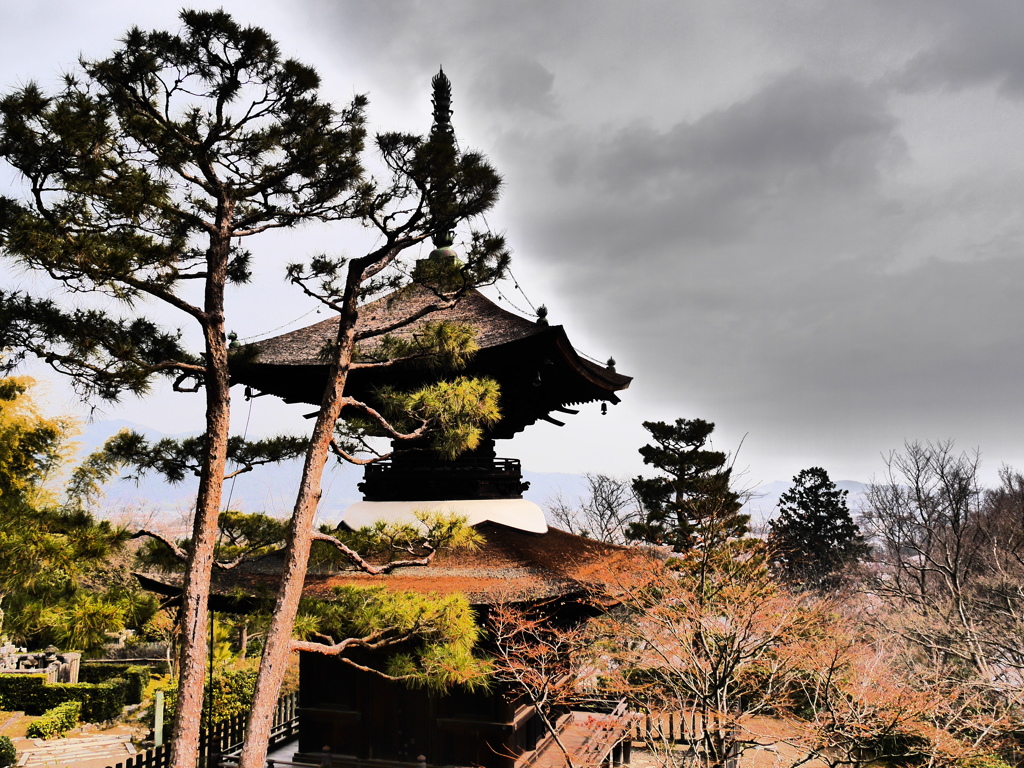 常寂光寺