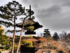 常寂光寺