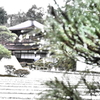 銀閣寺１