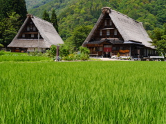 五箇山７