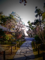 名古屋城２