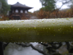 銀閣寺３