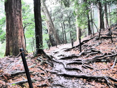 鞍馬7