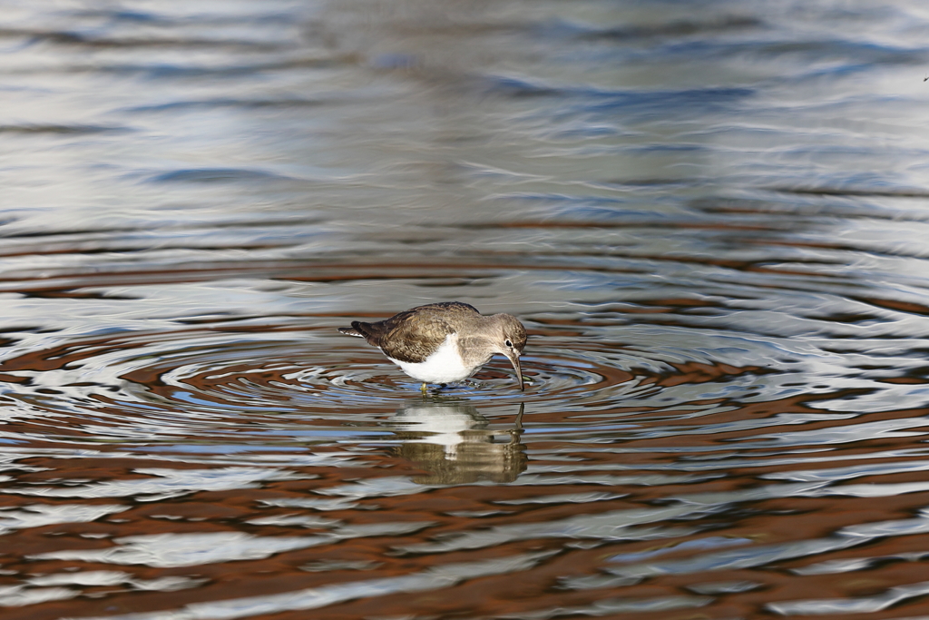 続　光が溶けたその中で（3）
