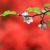 背景に浮かぶ