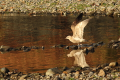 此の子は誰でしょね